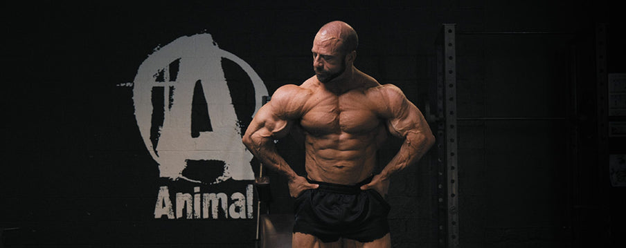 Fitness & Bodybuilding Blog – Animal Pak