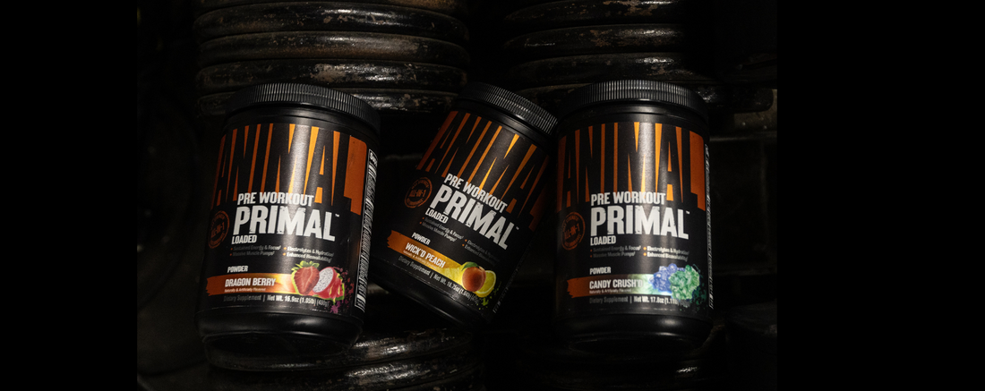 Animal Primal Preworkout Powder