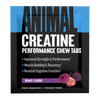 Animal Creatine Chews Sample