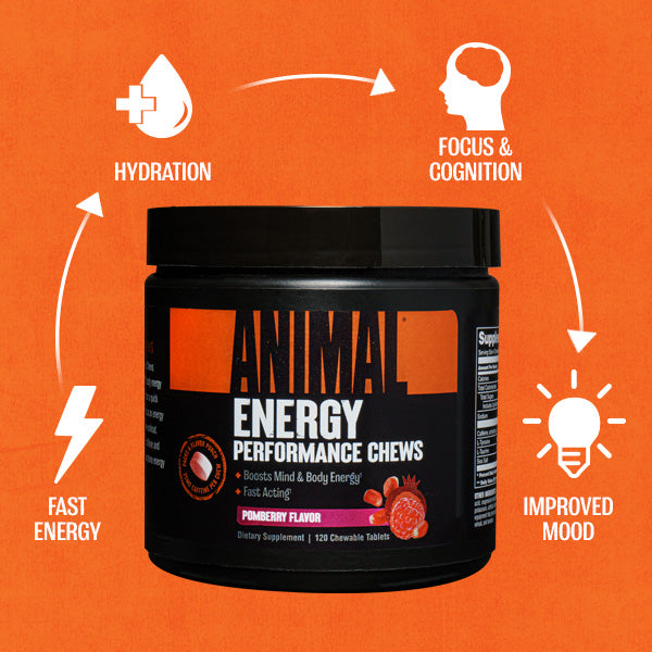 Animal Creatine Chews: Chewable Creatine Tablets – Animal Pak