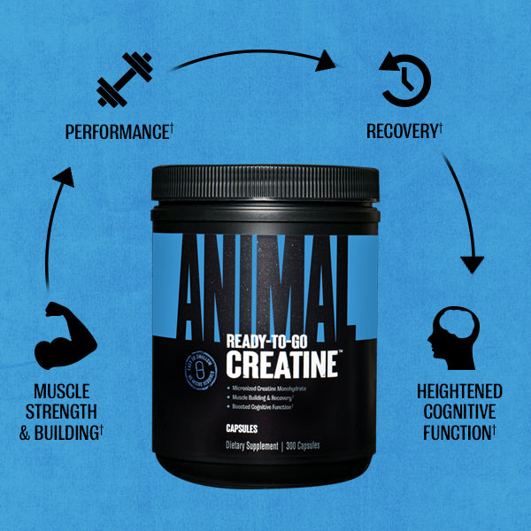 Creatine Capsules